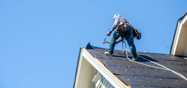 Best Gutter Installation and Roofing  in Sylvania, GA
